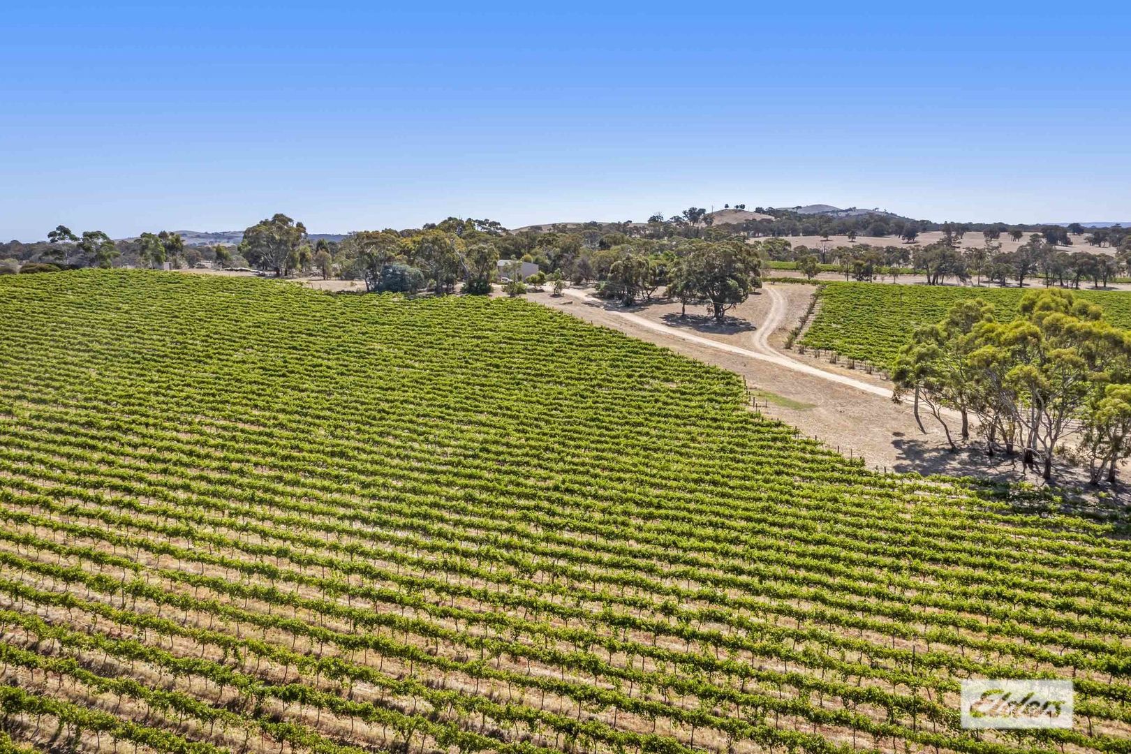 482 Shays Flat Malakoff Road, Landsborough VIC 3384 House for Sale