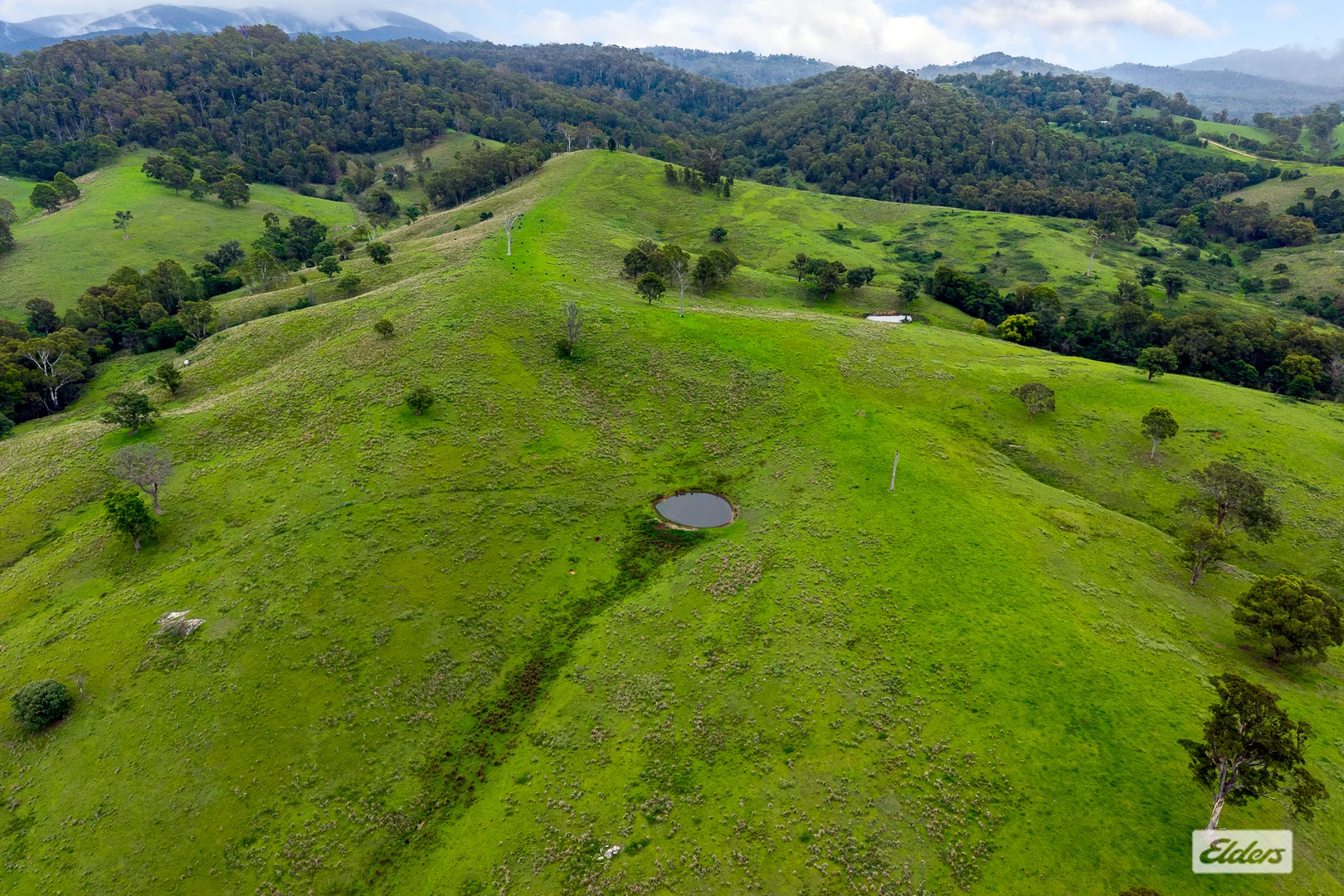 Additional image 13 of 50 House Creek Road, Brogo NSW 2550