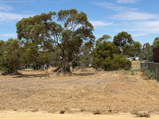 Additional image 3 of 14 Fogarty Street, Mingenew WA 6522