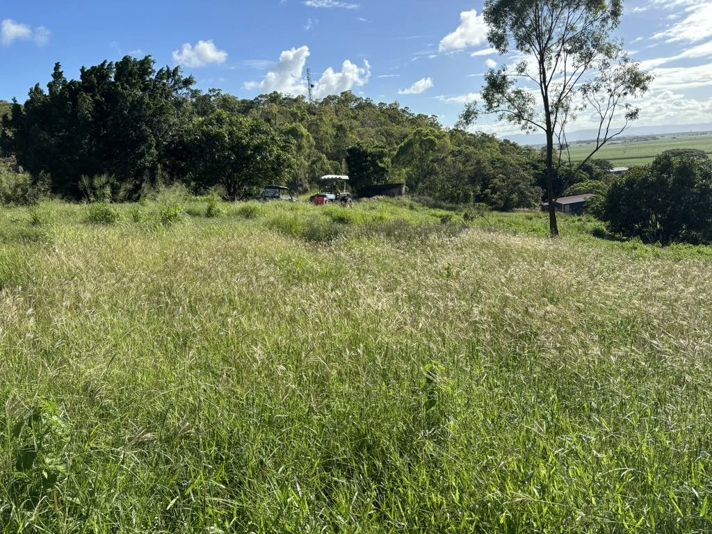 Image 22