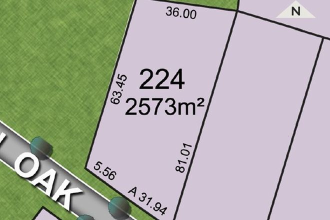 Picture of Lot 224 Pin Oak Circuit, BRANXTON NSW 2335