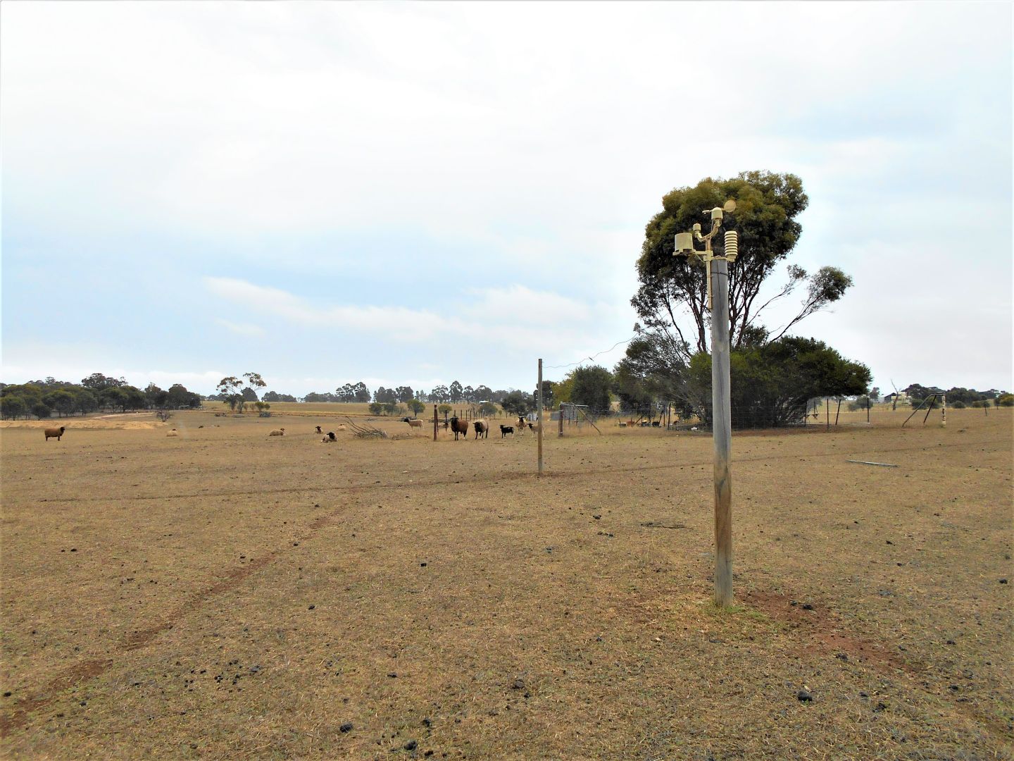 Lot 362 Spencer Road, Broomehill Village WA 6318, Image 2