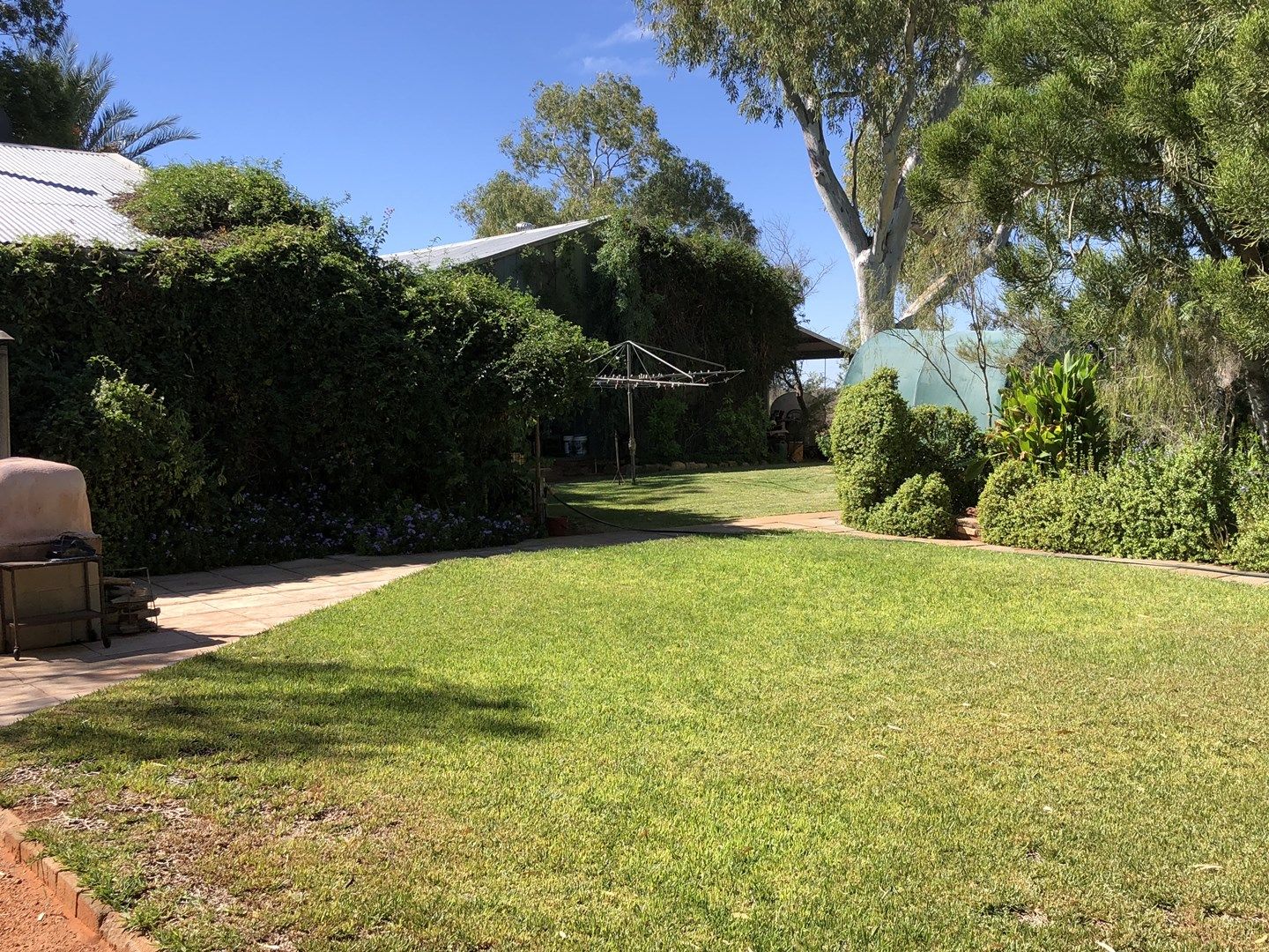 Tardie Homestead, Tardie-Yuin Road, Yalgoo WA 6635, Image 0