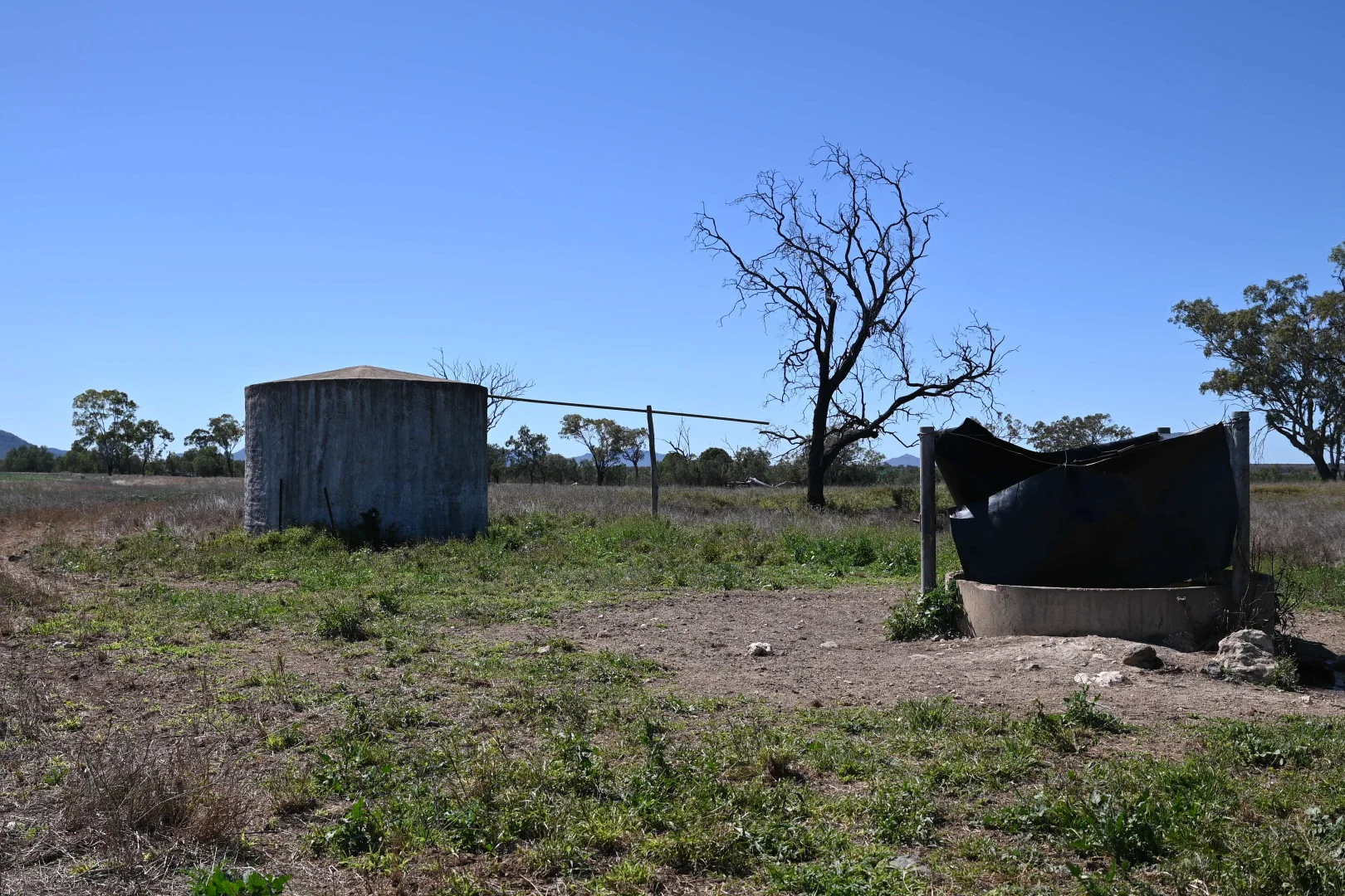 Image 13