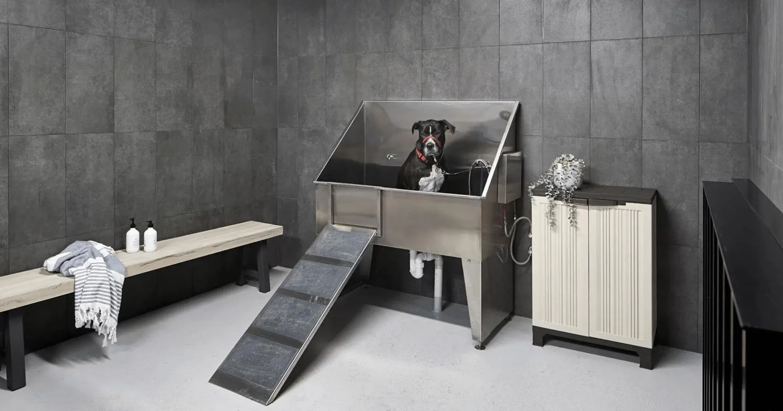 Additional image 24 of 1001c/45 Linden Avenue, Ivanhoe VIC 3079