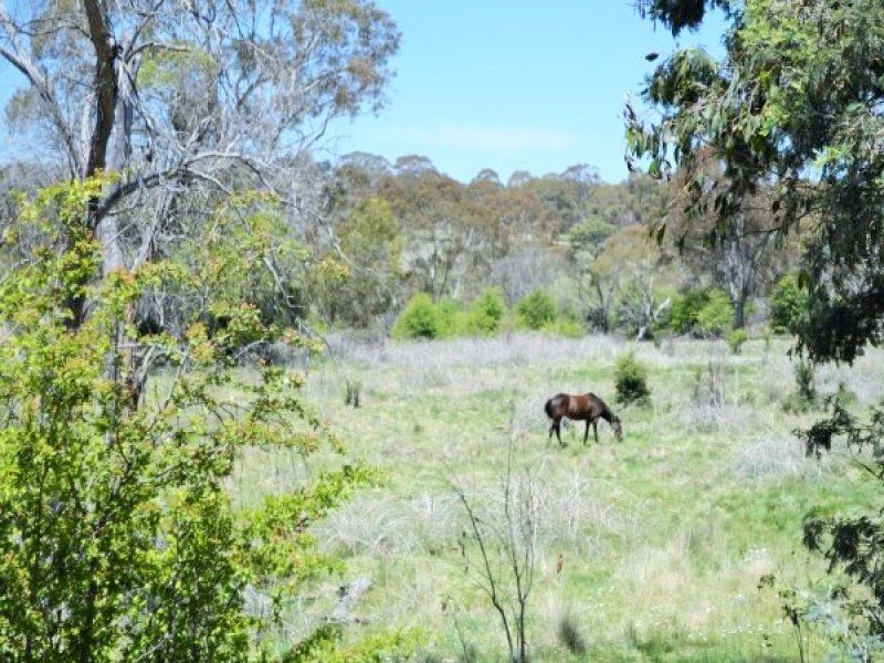 197 Ben Lomond Road, Llangothlin NSW 2365, Image 1