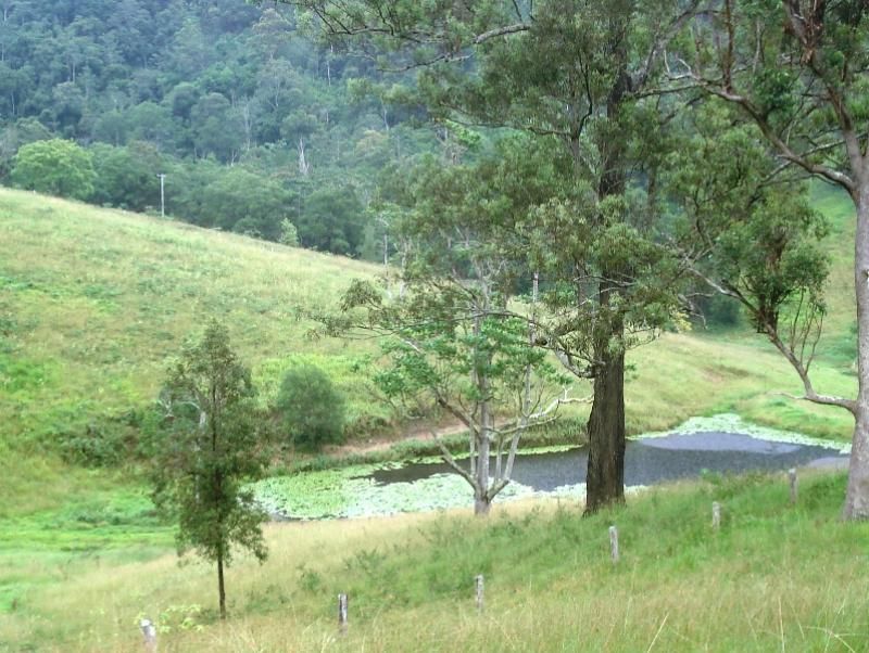 121 Higginbotham Road, Taylors Arm NSW 2447, Image 2