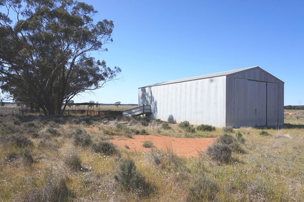 871 Mid Western Highway, West Wyalong NSW 2671 House for Sale