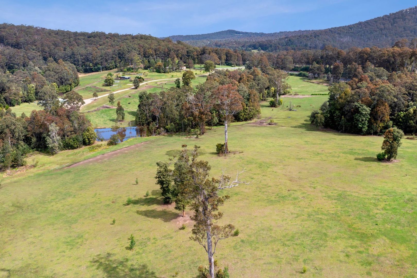 F1465 Princes Highway, Termeil NSW 2539, Image 1