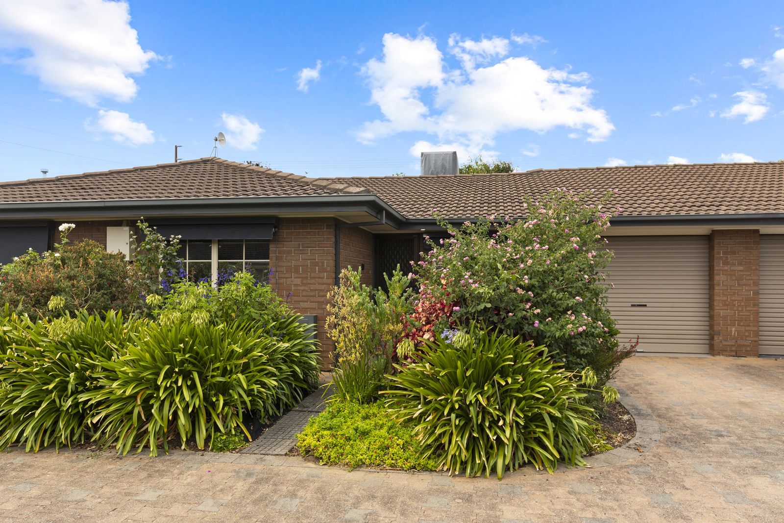 3/15A Doreen Street, Oaklands Park SA 5046, Image 0