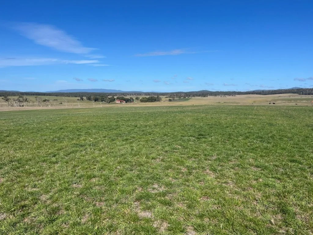 Additional image 10 of 559 North Ansons Road, Gladstone TAS 7264