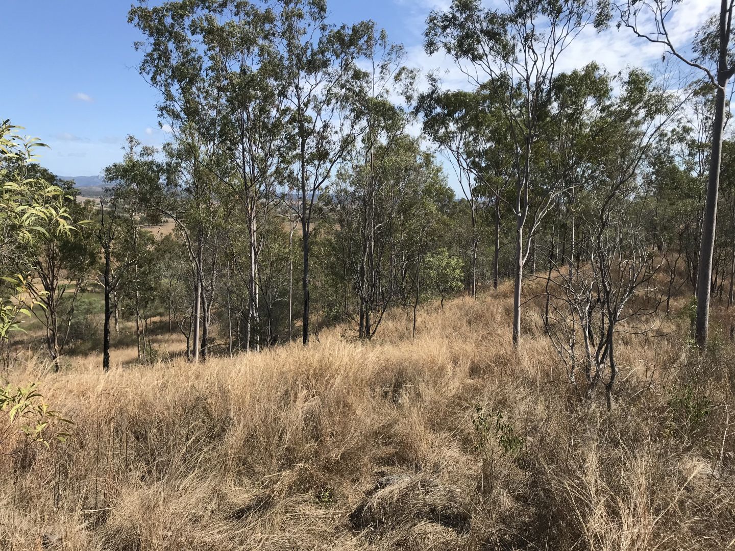 Lot 1 Walters Road, New Moonta QLD 4671, Image 2