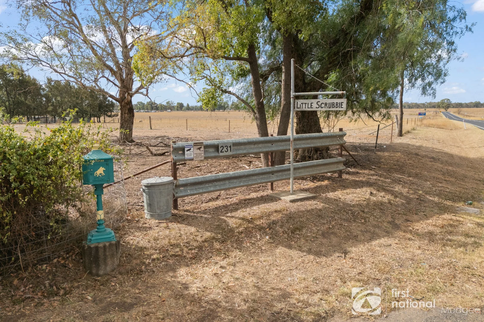 Image 13
