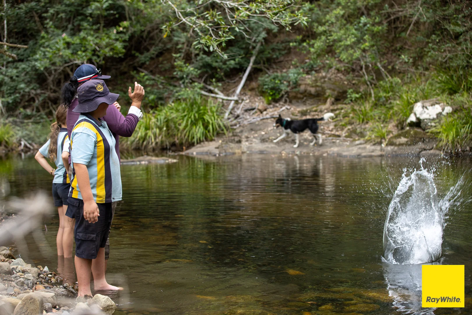 Additional image 4 of 721 Upper Avon Road, Craven NSW 2422