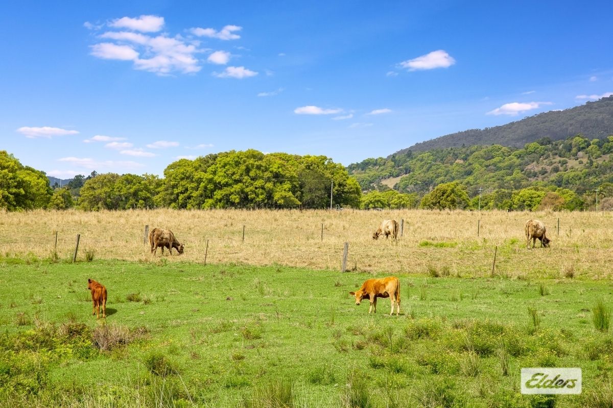 500 Tyalgum Road, Eungella NSW 2484 House for Sale Domain