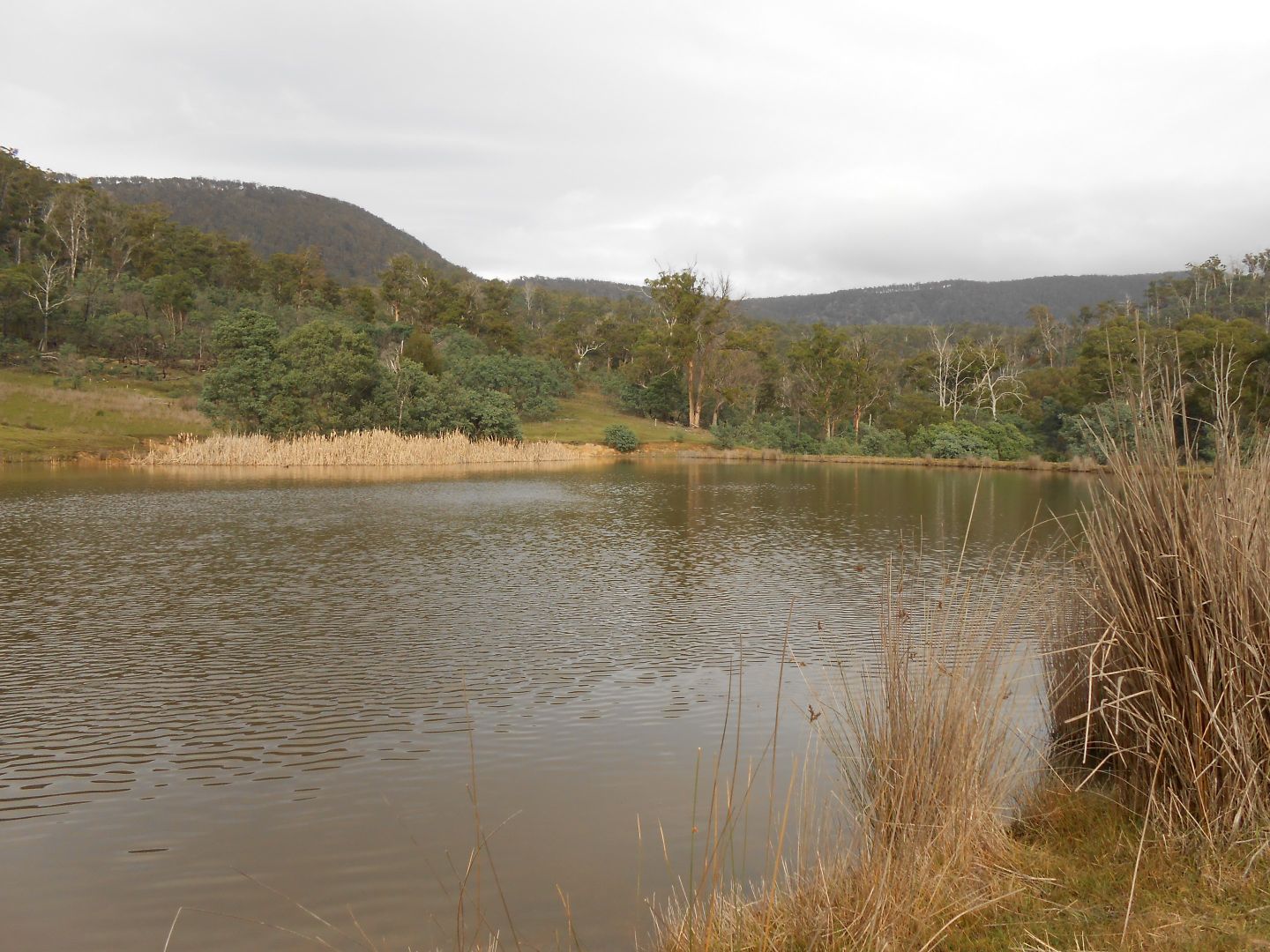 241 Williams Road, Royal George TAS 7213, Image 2