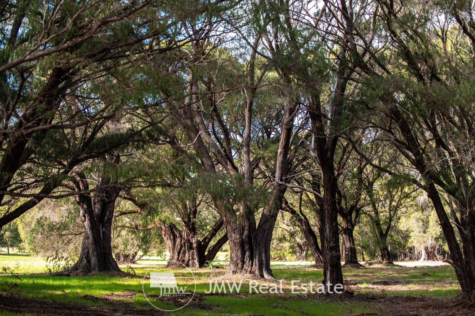 Lot 513 Powderbark Way, Witchcliffe WA 6286, Image 1