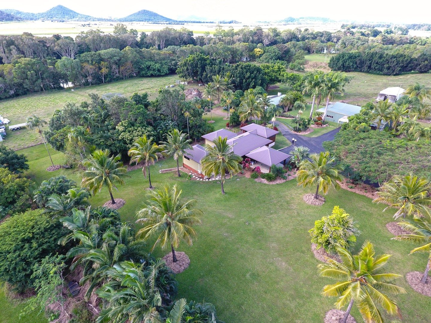 870 Mackay Eungella Road, Pleystowe QLD 4741, Image 0