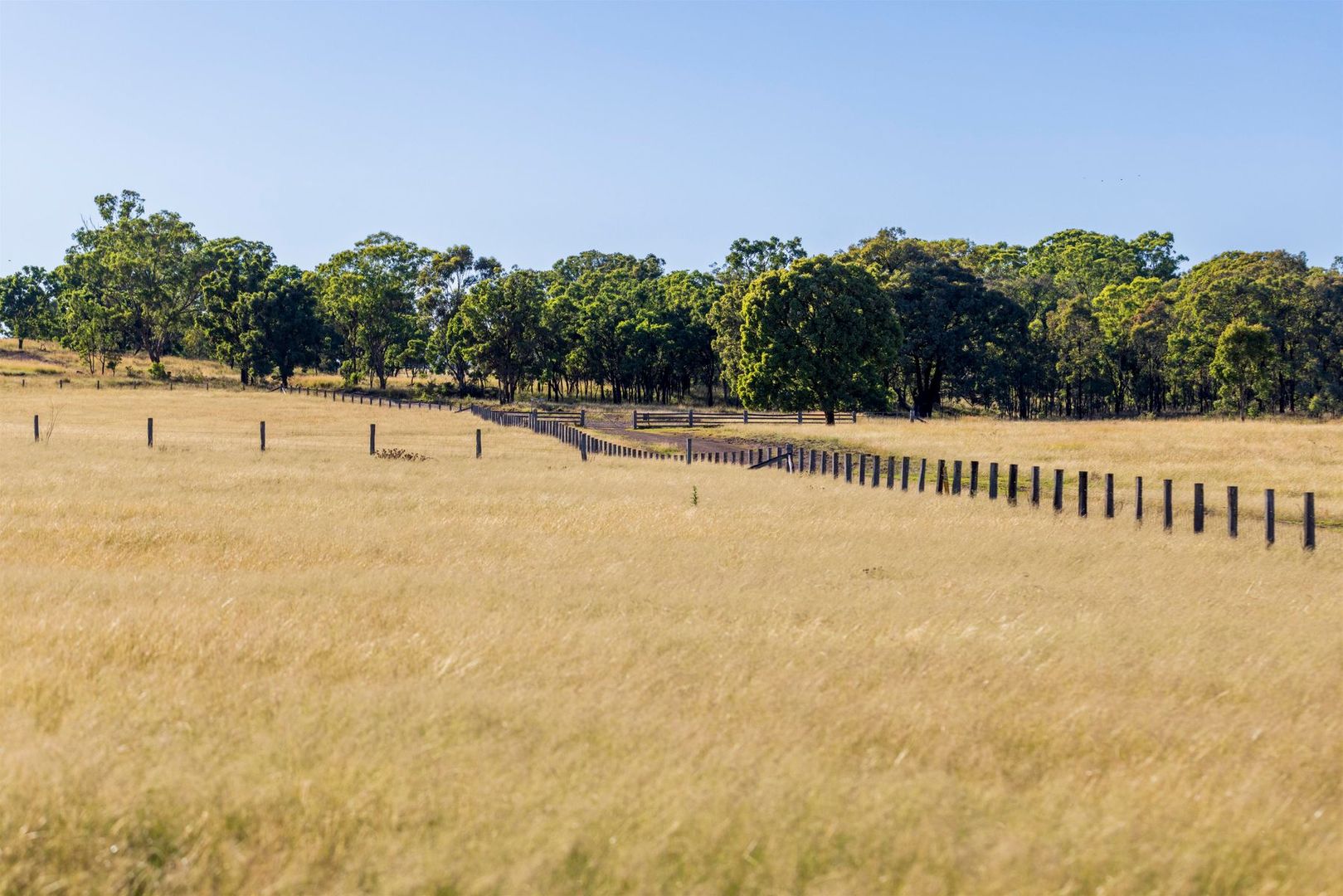 1872 Reedy Creek Road, Tenterfield NSW 2372, Image 1