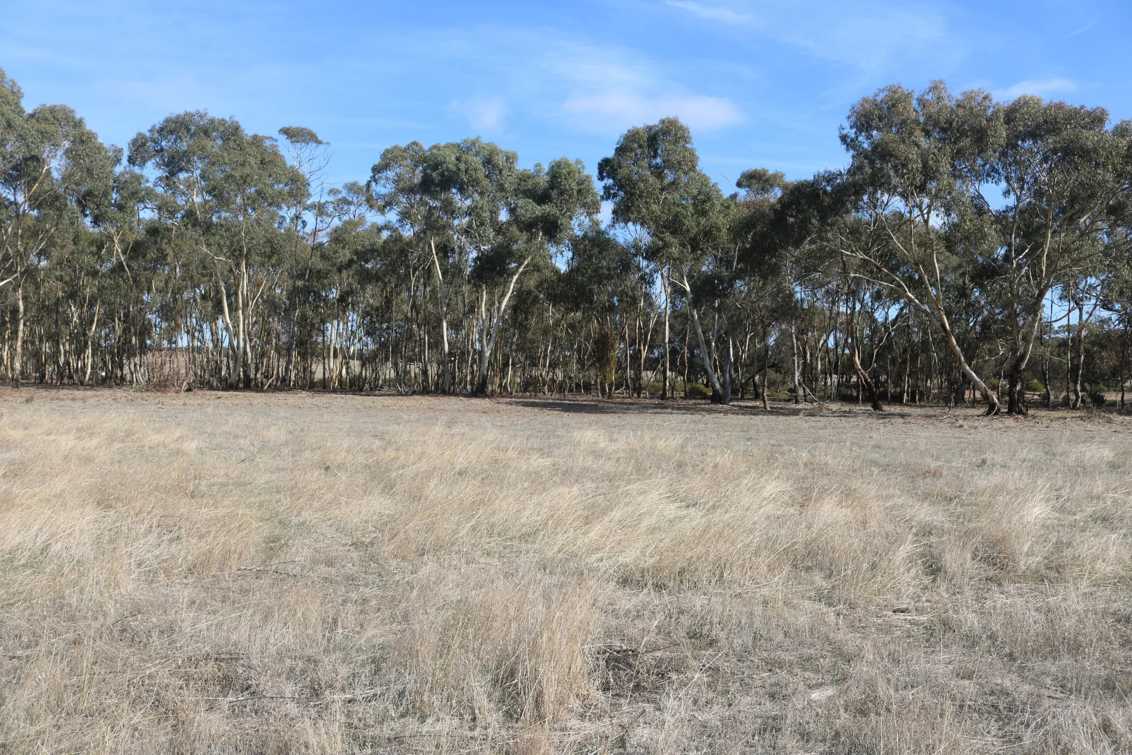 Additional image 11 of Old Boort Road, Woolshed Flat VIC 3518