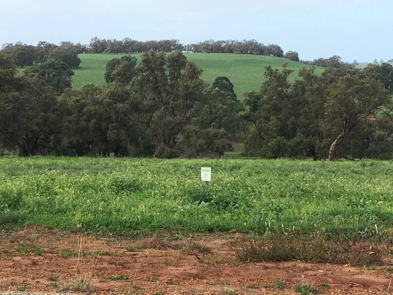 Image 13