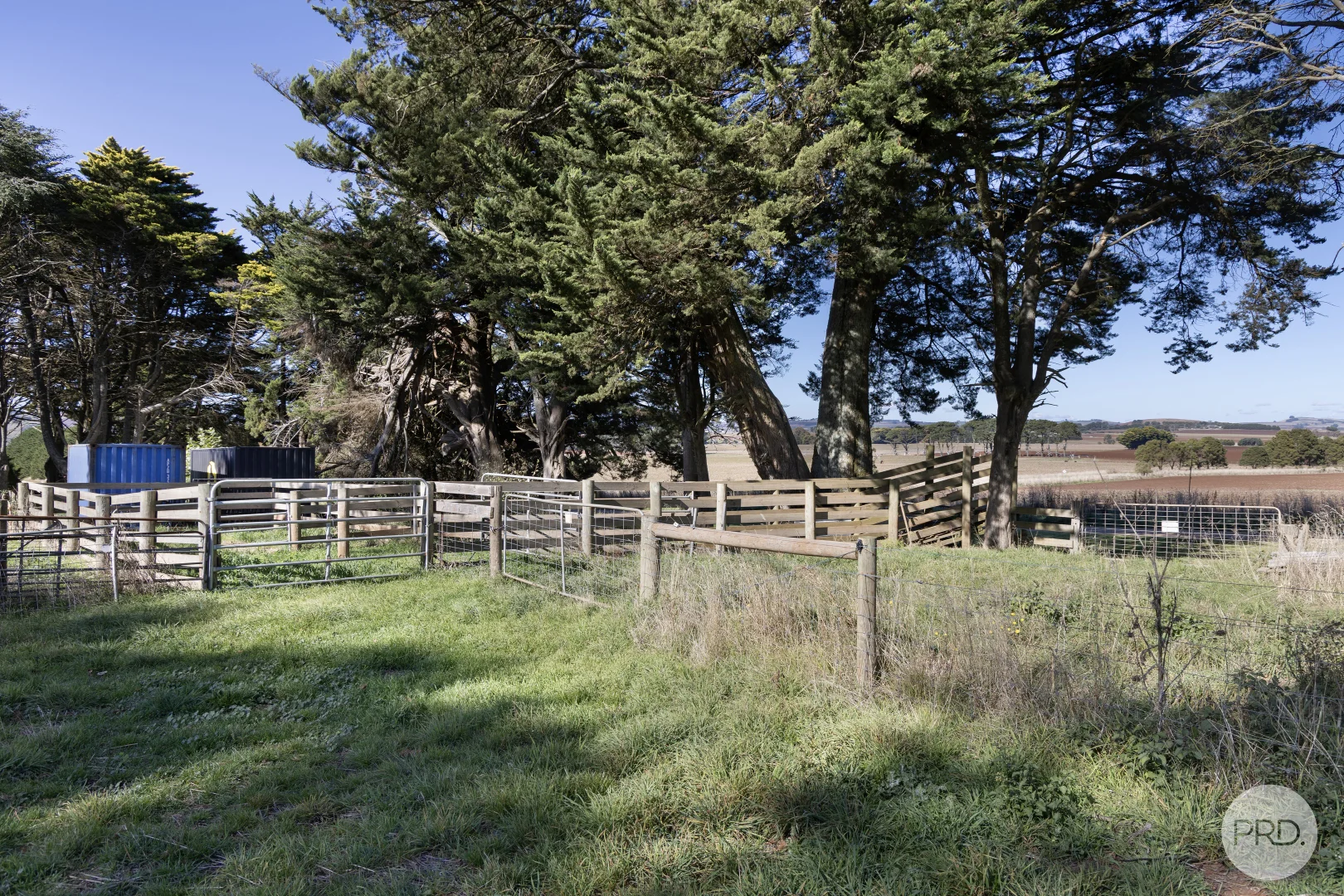 Image 10