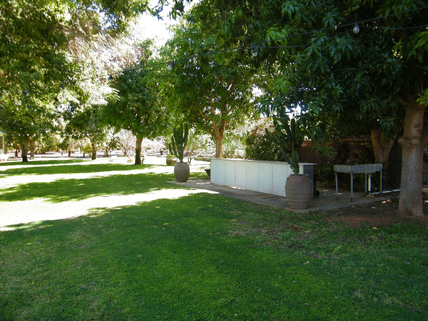 99 North River Road, Carnarvon WA 6701 House for Sale Domain