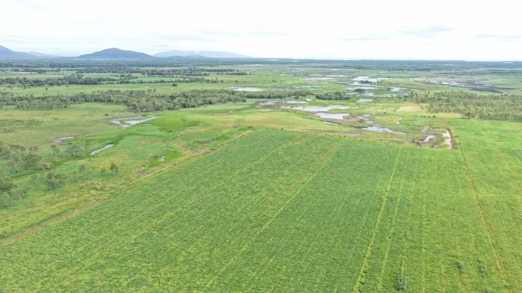 Additional image 23 of 3 Comiskey Road, Giru QLD 4809