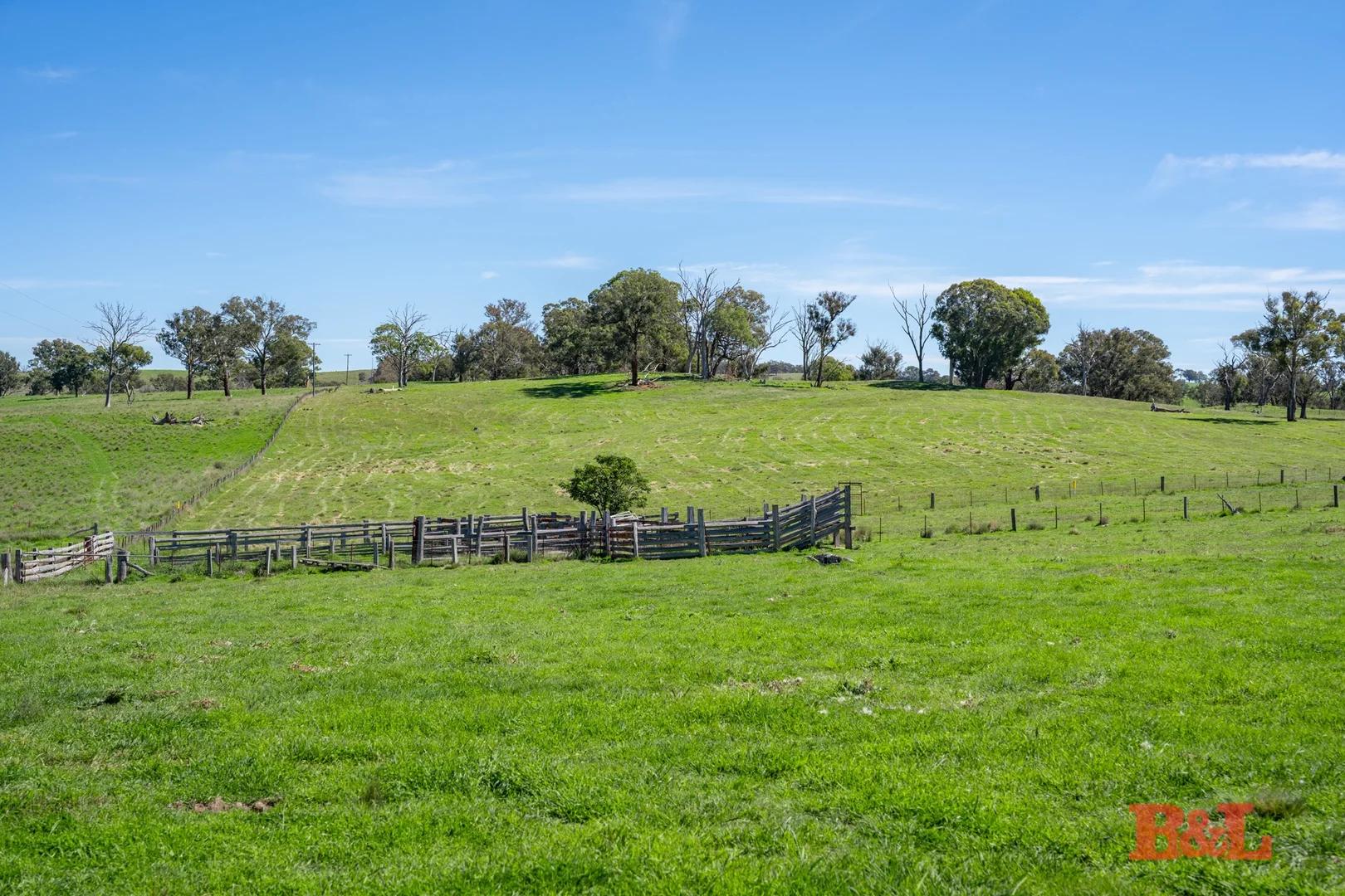 Image 18