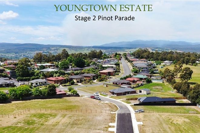 Picture of Stage 2 PINOT PARADE, YOUNGTOWN TAS 7249