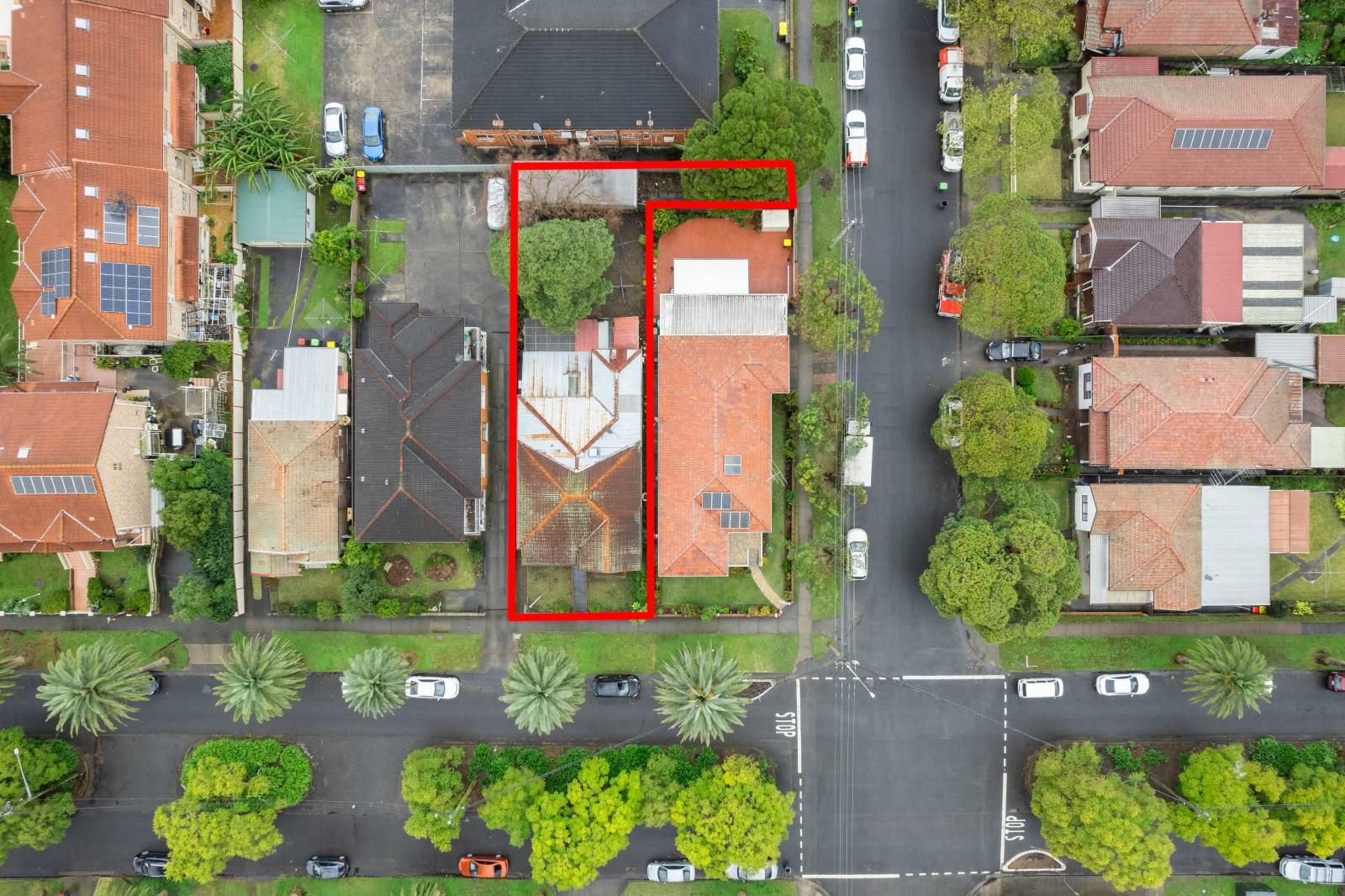 36 Eighth Ave, Campsie NSW 2194, Image 2