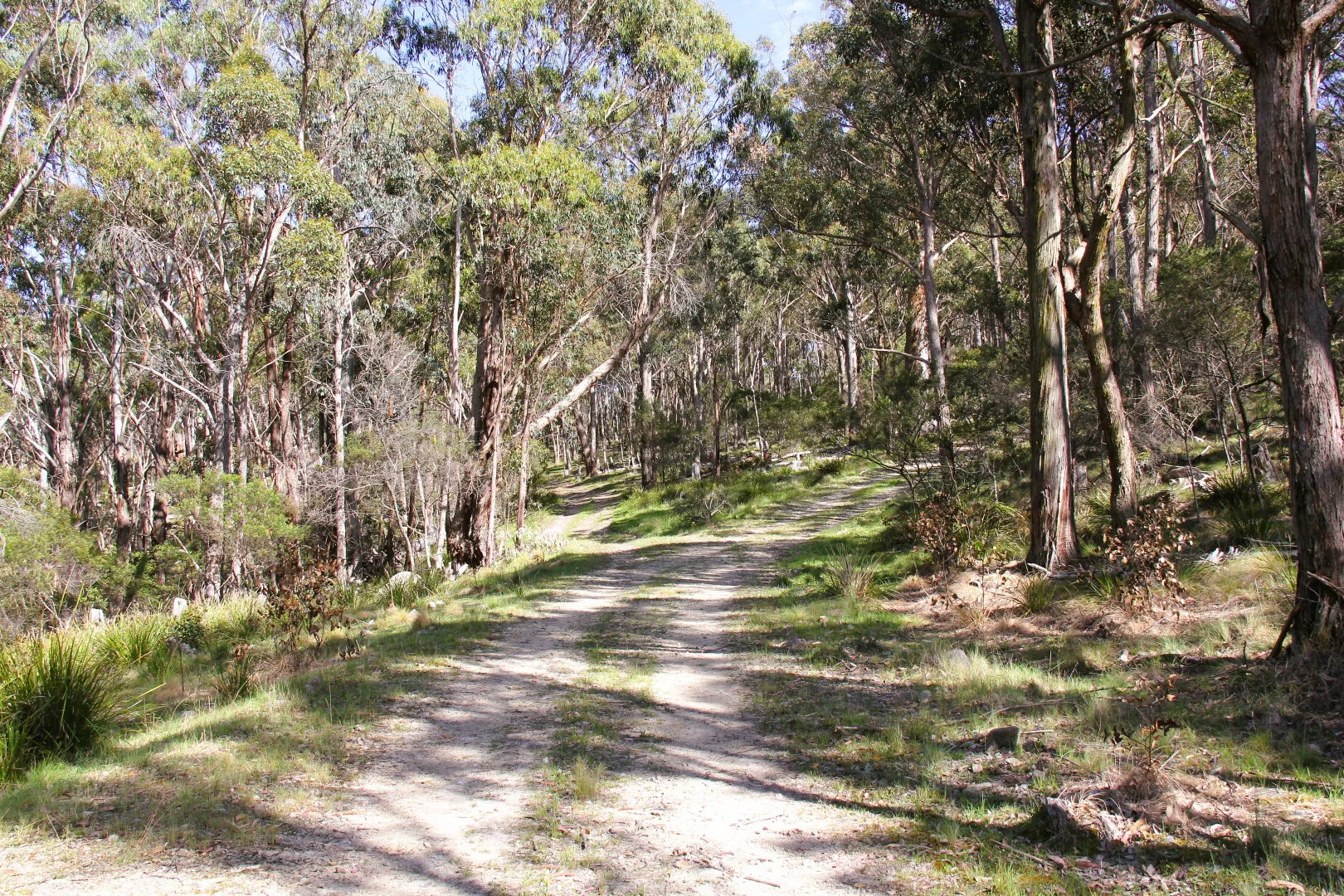 Additional image 13 of 1929 New England Highway, Dundee NSW 2370