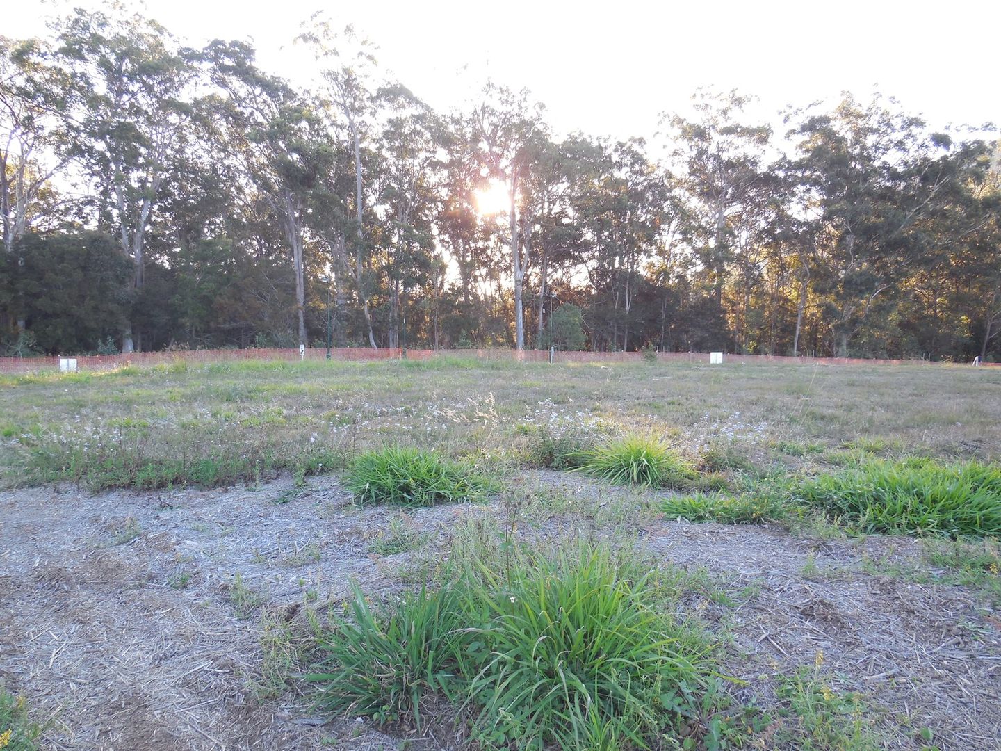 Lot 72 33 Wattle Avenue Beerburrum, QLD, 4517, Beerburrum QLD 4517, Image 2