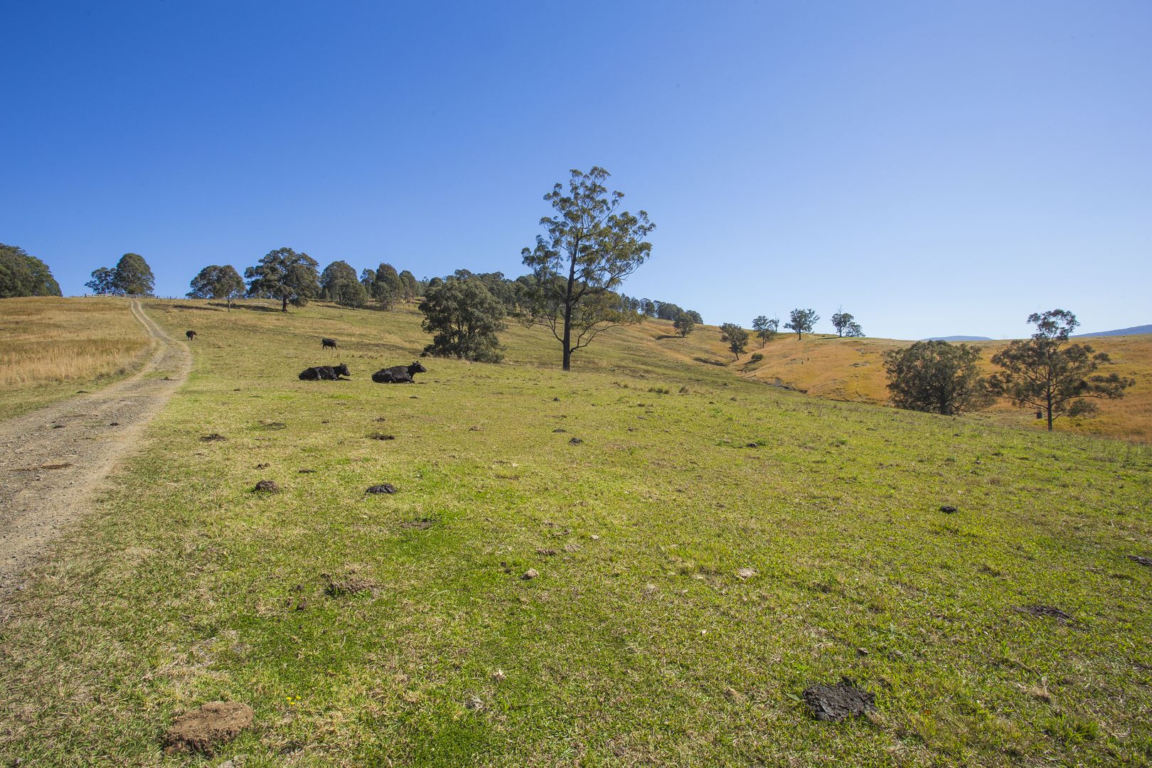 Lots 1-3 DP1103694 EP30785, Dungog NSW 2420, Image 2