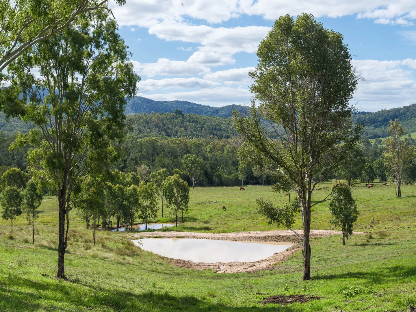 Additional image 35 of Widgee QLD 4570