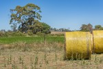 Image 13