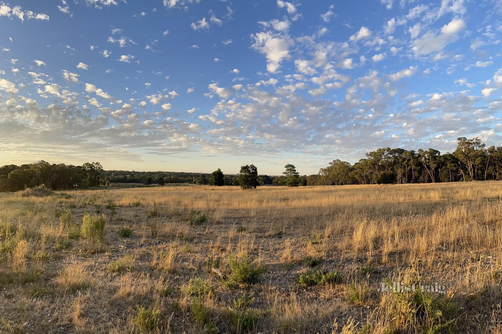 Vacant land in Lot 5 Ross Creek Haddon Road, SMYTHESDALE VIC, 3351