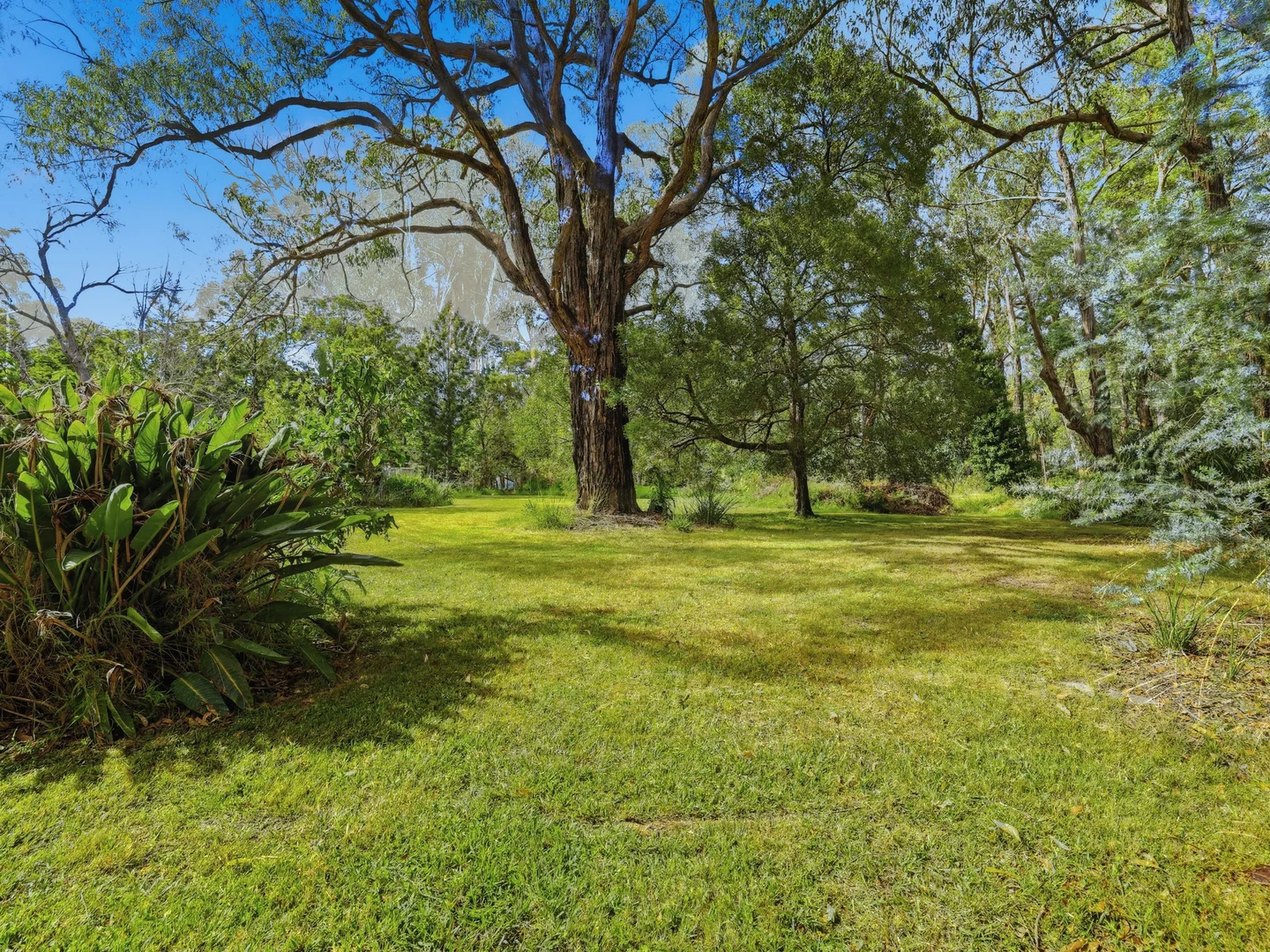 Additional image 22 of 5620 South Gippsland Highway, Agnes VIC 3962