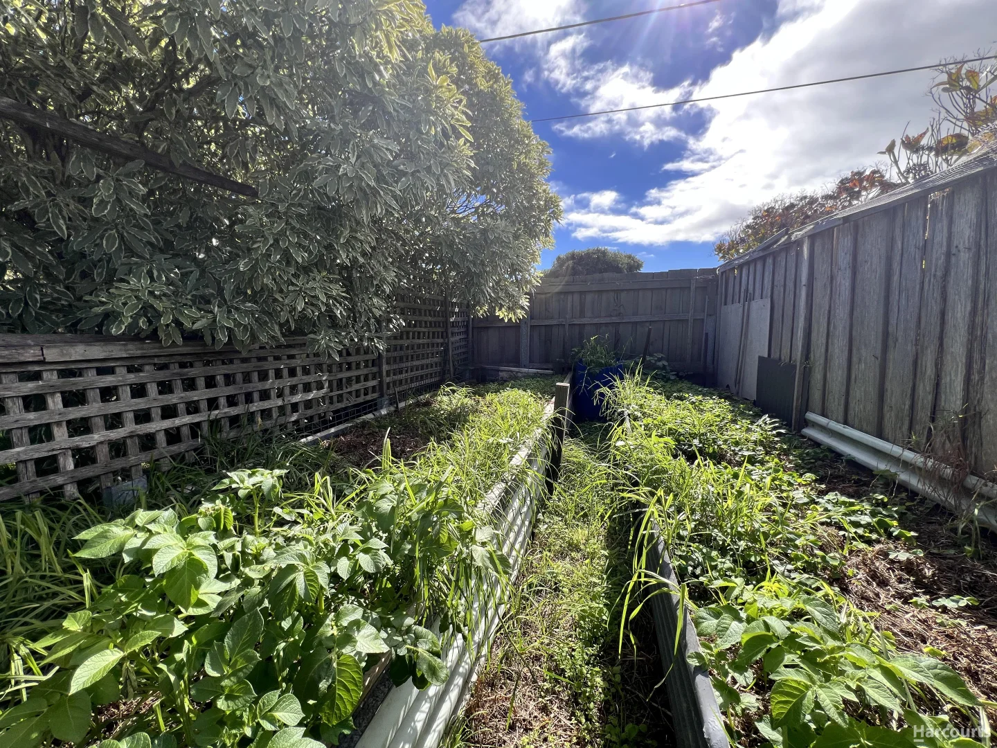 Additional image 12 of 132 Friend Street, George Town TAS 7253