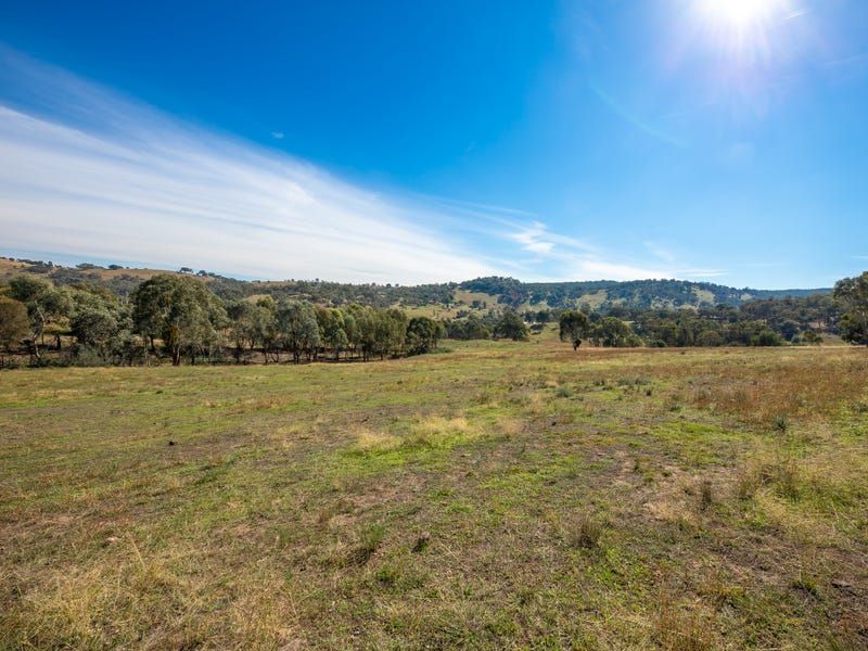 20 Stoneleigh Lane, Splitters Creek NSW 2640, Image 1