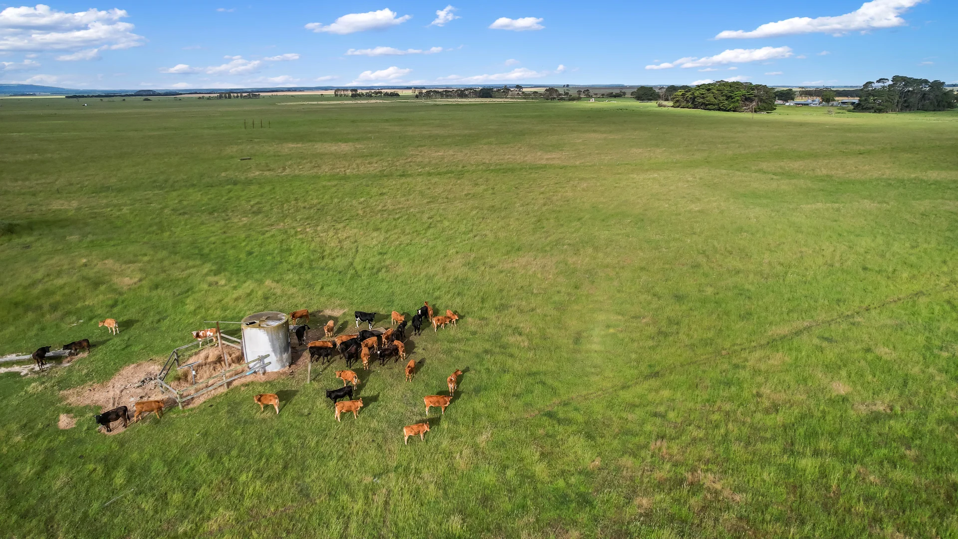 Additional image 8 of 80 German Creek Road, German Creek SA 5291