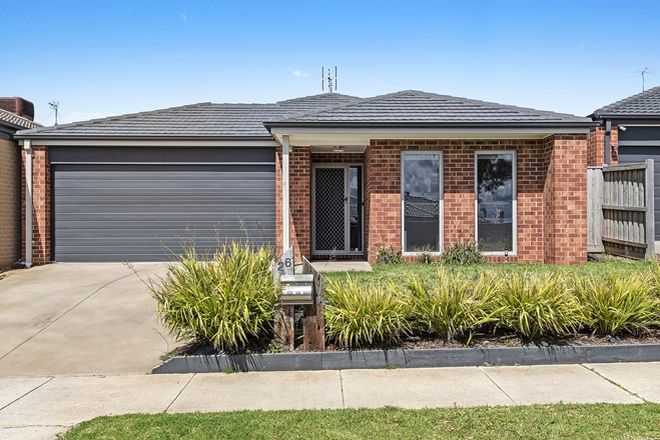 8 timberland street leopold