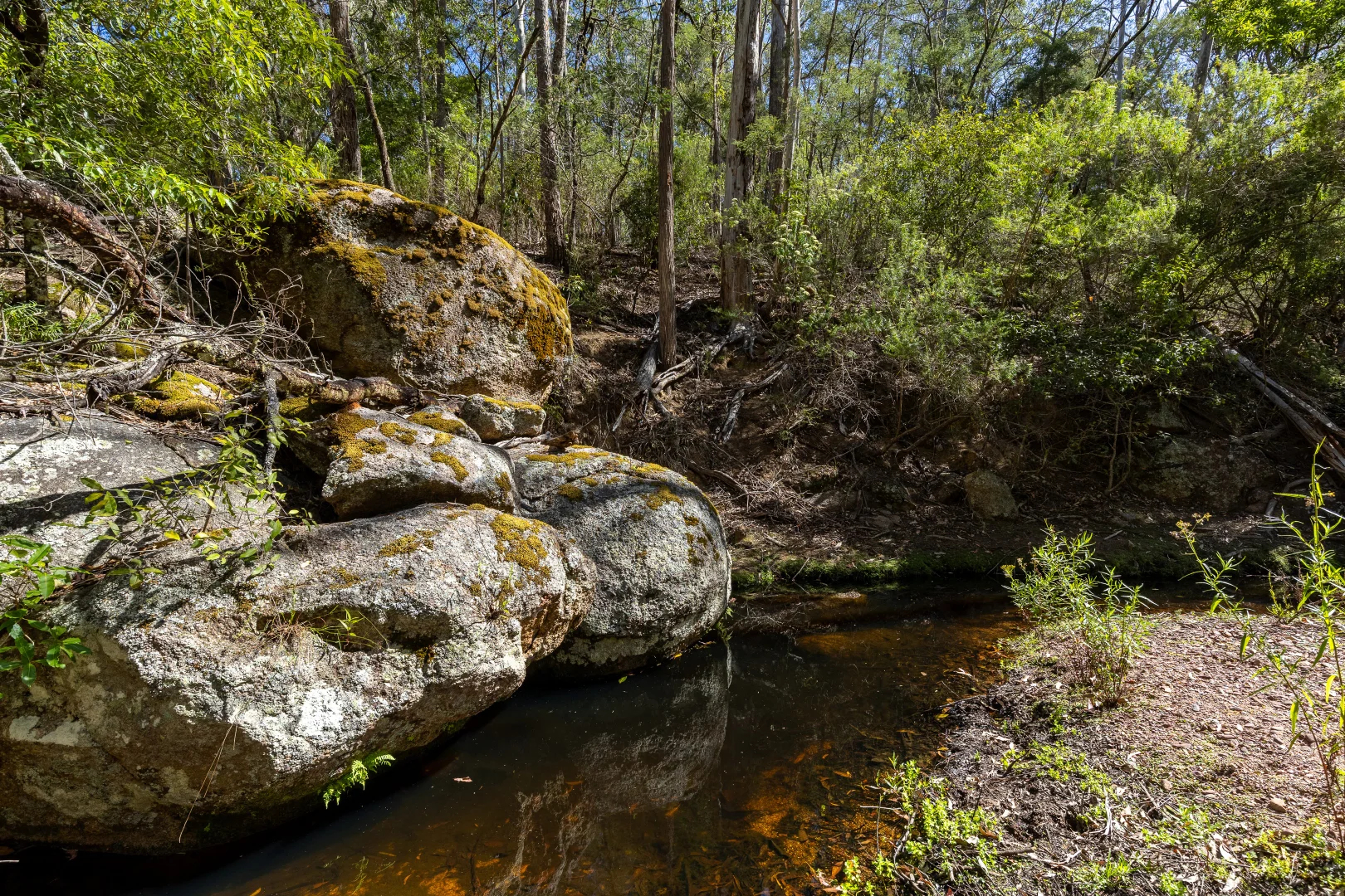 Image 13