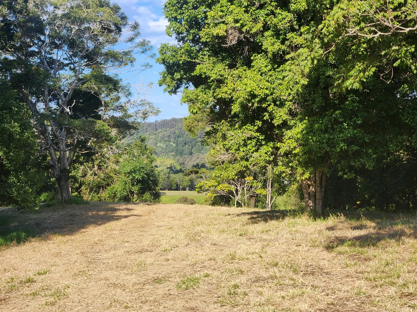 Image 13