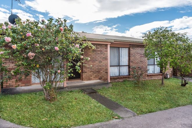 Picture of 2/44 Clarendon Street, HAMILTON VIC 3300