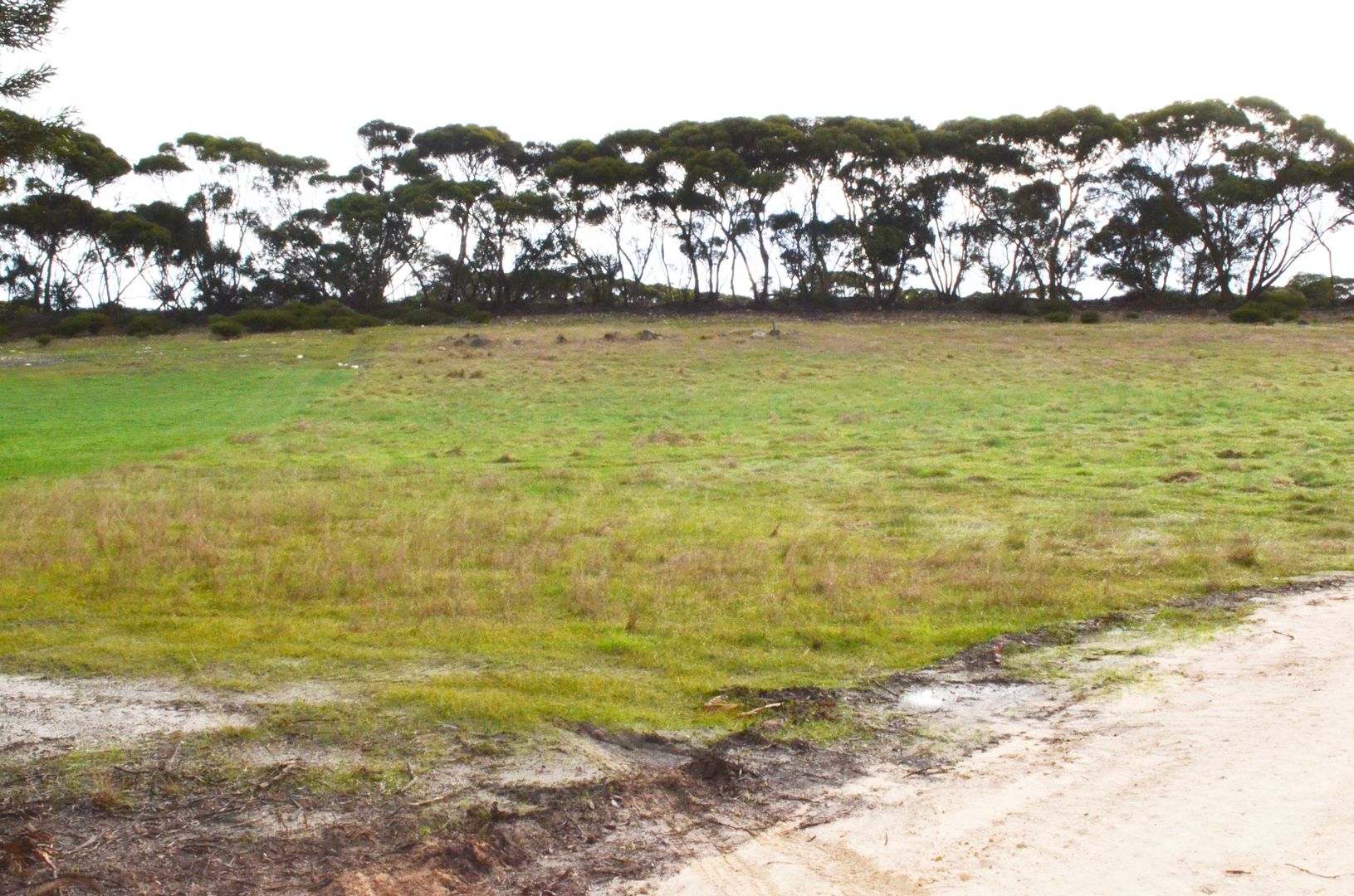 Lot 52 North Coast Road, Wisanger SA 5223, Image 1