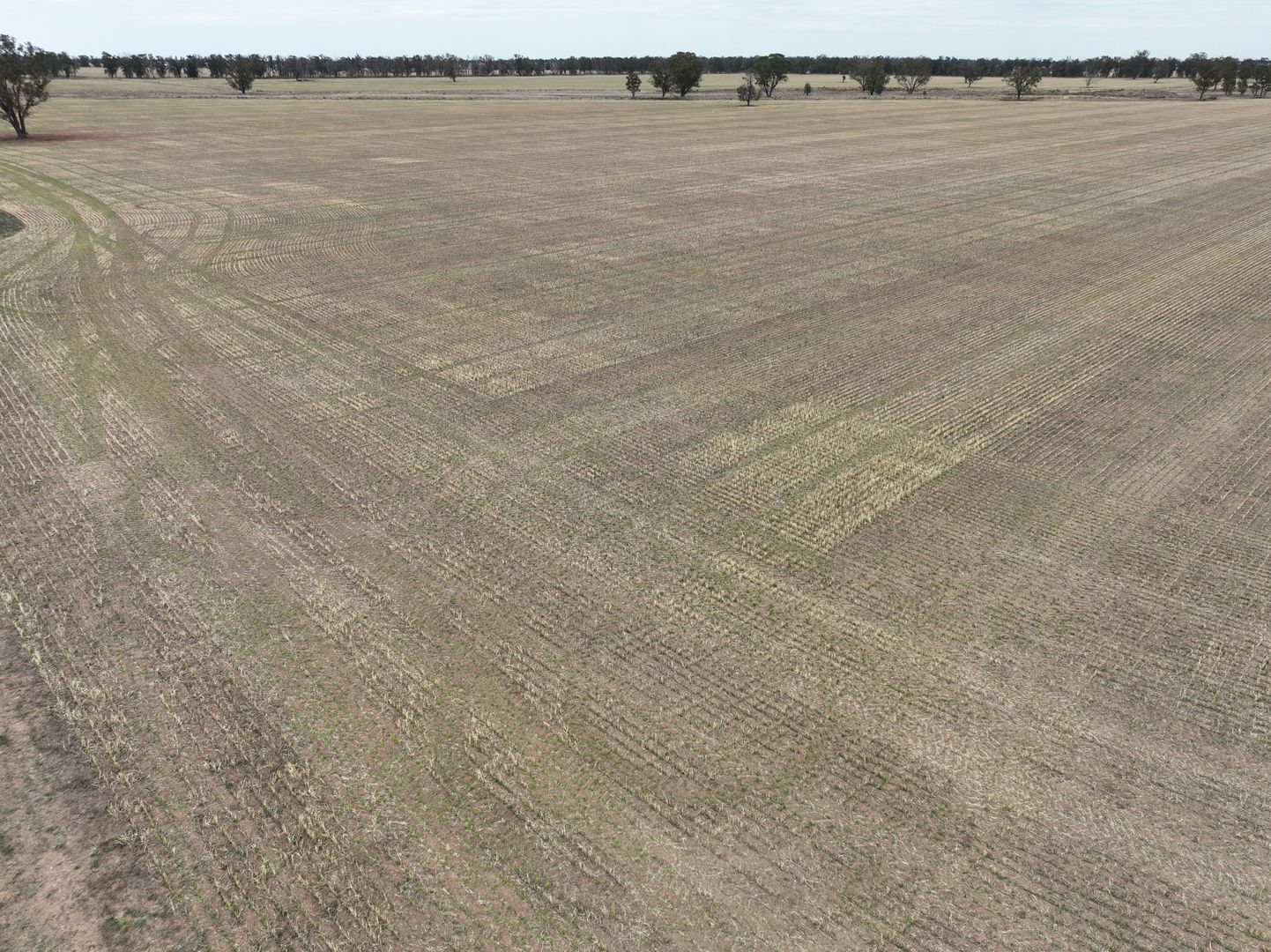 'Clairdon' 2395 Leeches Creek Road, Collie NSW 2827 Farm for Sale