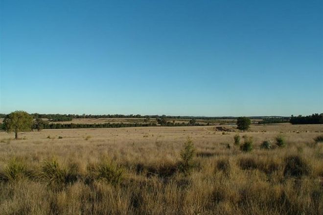 Picture of Lot 23 Panai Avenue, DUBBO NSW 2830