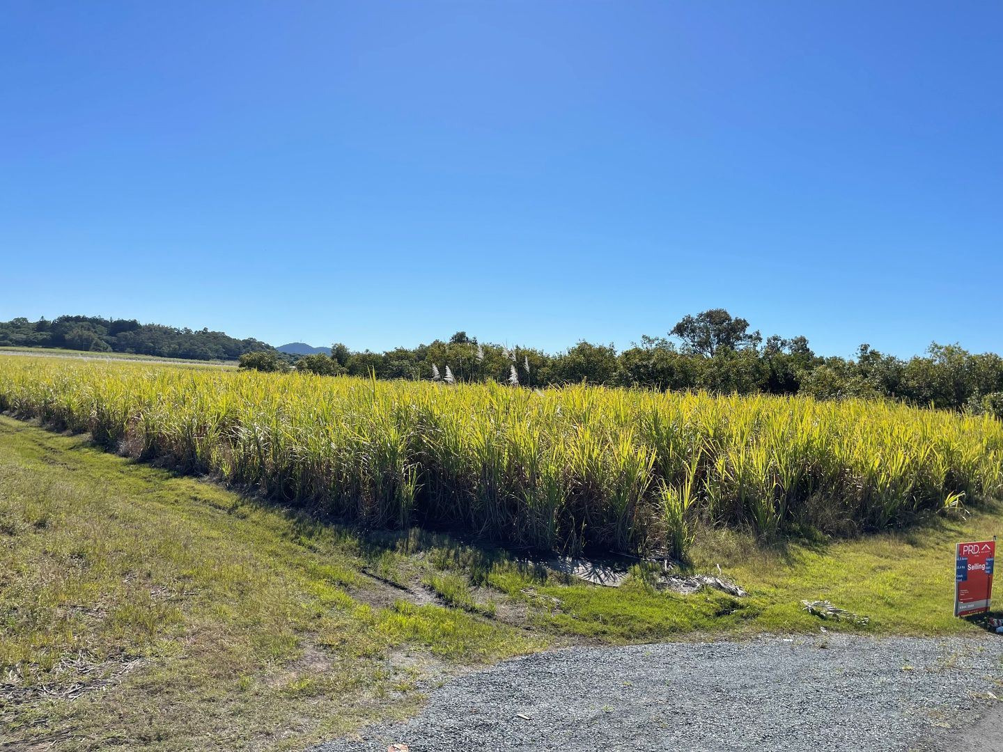 Lot 7 Holts Road, Glenella QLD 4740, Image 1