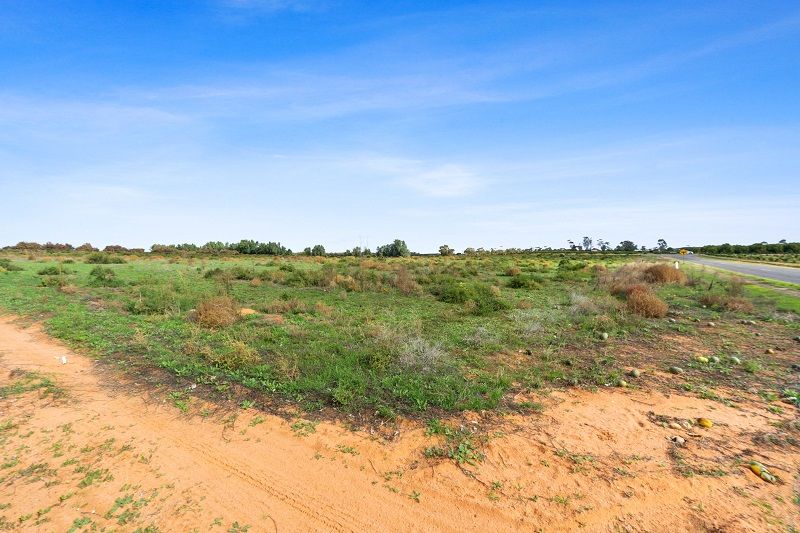 Lot 128 Cox Road, Waikerie SA 5330, Image 1